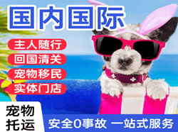 北海空运公司国际宠物托运 【国